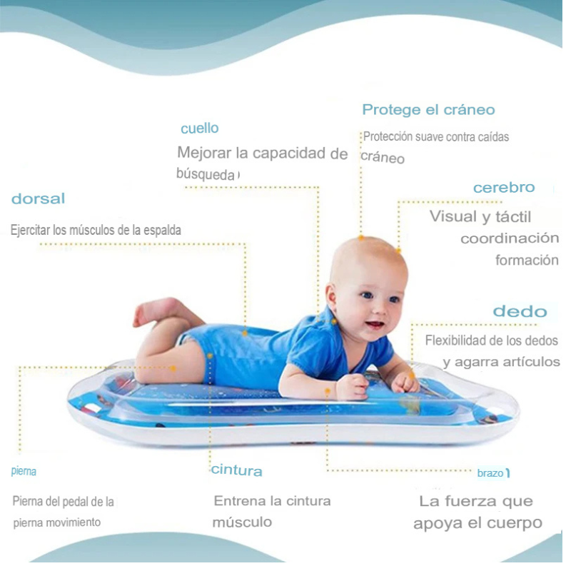 Cojín Sensorial Acuatico