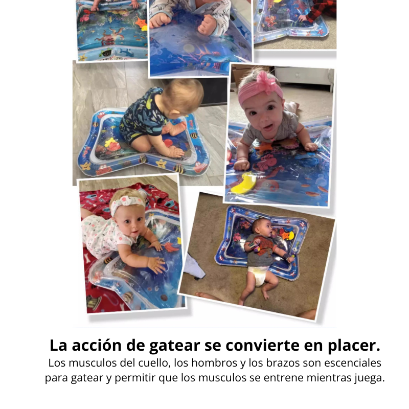 Cojín Sensorial Acuatico